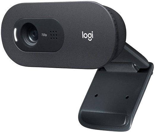 Logitech C505 HD Webcam - 720p HD External USB Camera